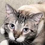 article image - 